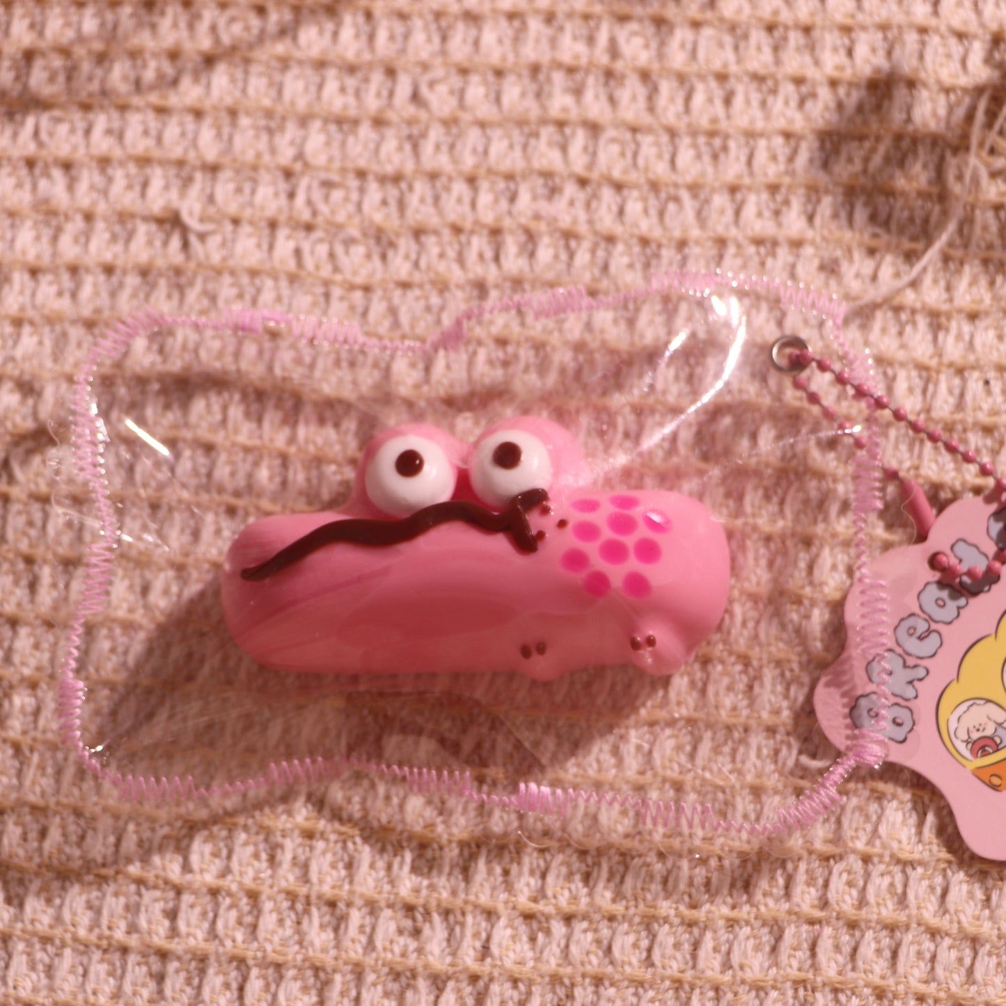 #W0072ロザリオワニ匹