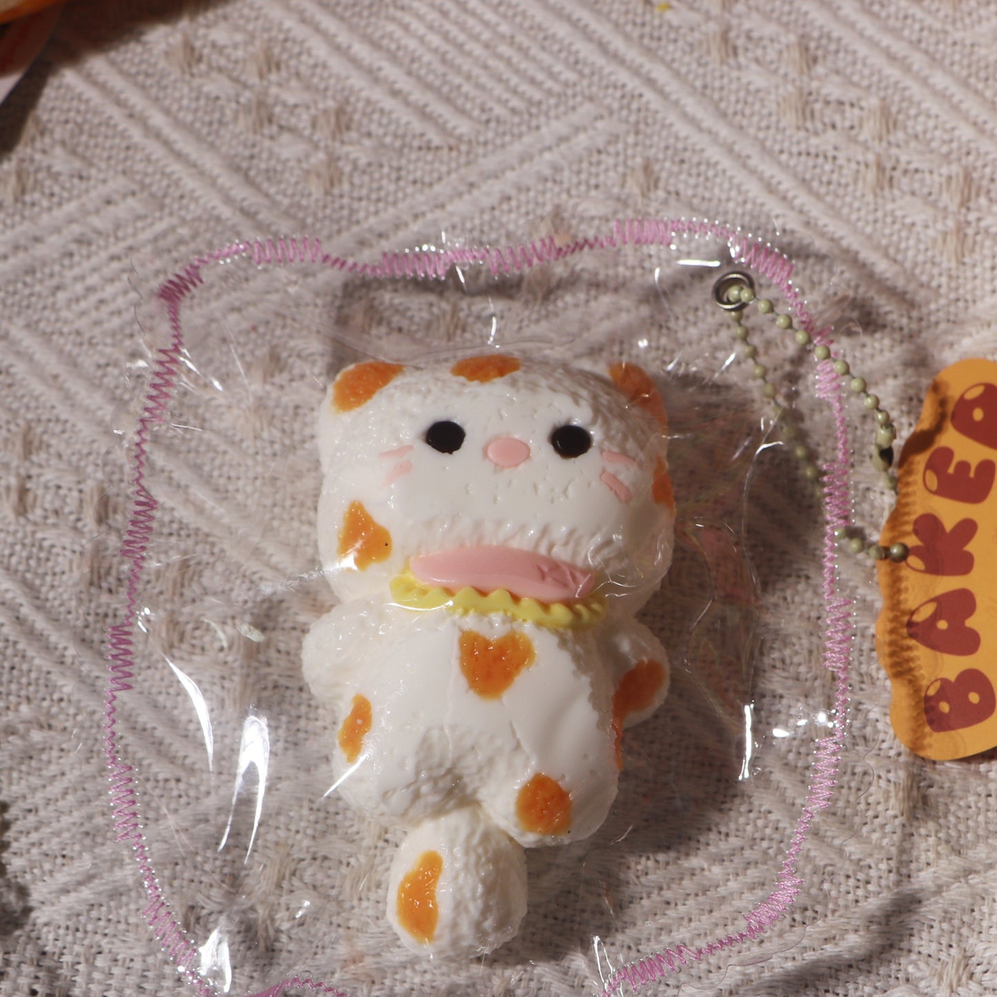 #W0047   毛むくじゃらの子猫